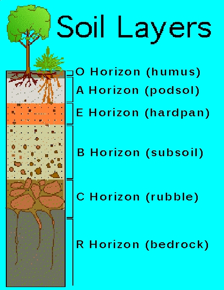 Soil Profile